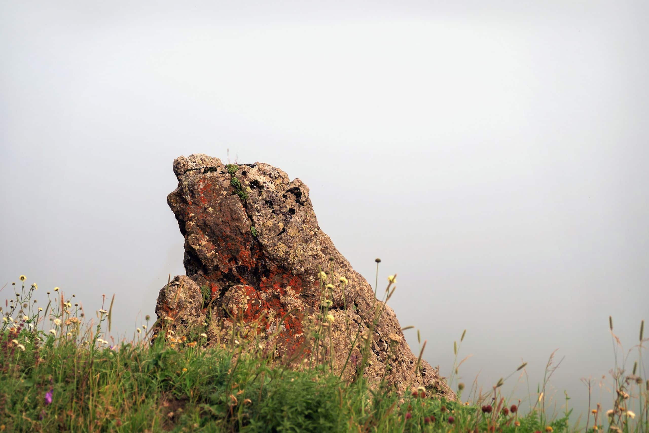 moss rock for landscaping